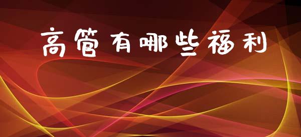 高管有哪些福利_https://wap.fcdydaikuan.com_金融机构_第1张