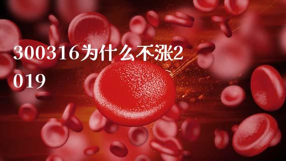 300316为什么不涨2019_https://wap.fcdydaikuan.com_投资策略_第1张