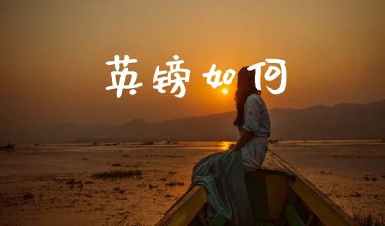 英镑如何_https://wap.fcdydaikuan.com_投资策略_第1张
