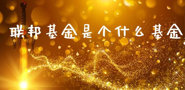 联邦基金是个什么基金_https://wap.fcdydaikuan.com_理财顾问_第1张