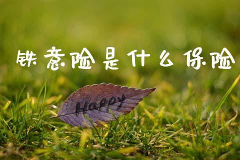 铁意险是什么保险_https://wap.fcdydaikuan.com_国际投资_第1张