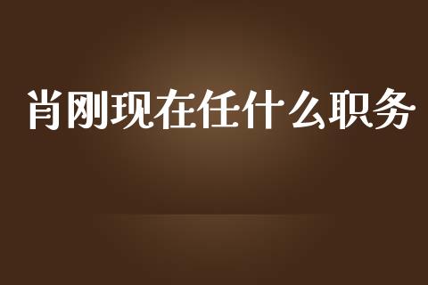 肖刚现在任什么职务_https://wap.fcdydaikuan.com_金融机构_第1张