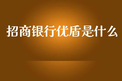 招商银行优盾是什么_https://wap.fcdydaikuan.com_理财顾问_第1张