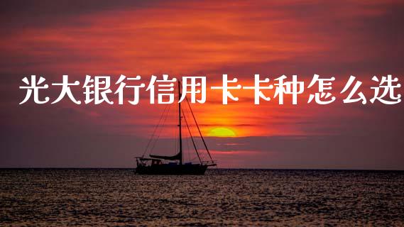 光大银行信用卡卡种怎么选_https://wap.fcdydaikuan.com_理财顾问_第1张