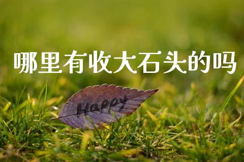 哪里有收大石头的吗_https://wap.fcdydaikuan.com_期货品种_第1张
