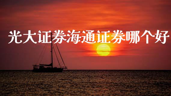 光大证券海通证券哪个好_https://wap.fcdydaikuan.com_期货品种_第1张
