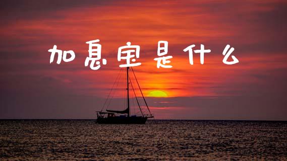 加息宝是什么_https://wap.fcdydaikuan.com_理财顾问_第1张