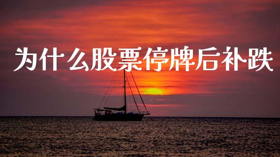 为什么股票停牌后补跌_https://wap.fcdydaikuan.com_国际投资_第1张