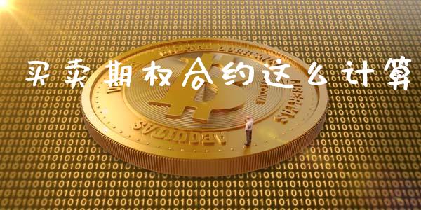 买卖期权合约这么计算_https://wap.fcdydaikuan.com_国际投资_第1张