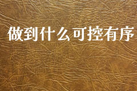 做到什么可控有序_https://wap.fcdydaikuan.com_理财顾问_第1张