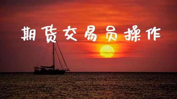 期货交易员操作_https://wap.fcdydaikuan.com_新股数据_第1张