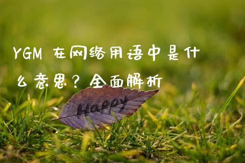 YGM 在网络用语中是什么意思？全面解析_https://wap.fcdydaikuan.com_国际投资_第1张