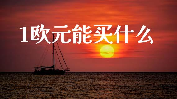 1欧元能买什么_https://wap.fcdydaikuan.com_金融机构_第1张