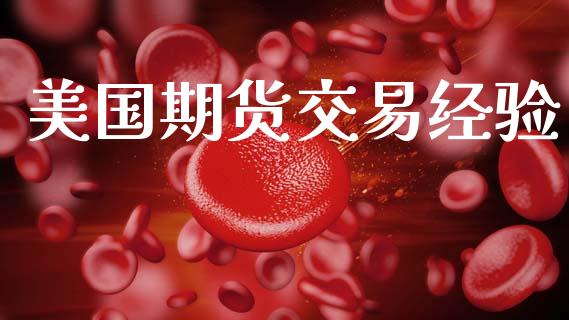 美国期货交易经验_https://wap.fcdydaikuan.com_投资策略_第1张