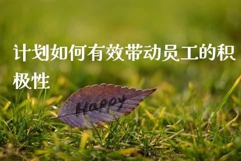 计划如何有效带动员工的积极性_https://wap.fcdydaikuan.com_投资策略_第1张