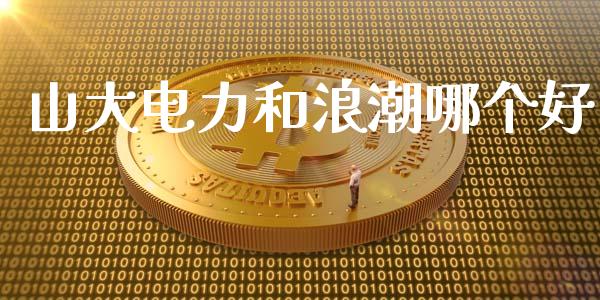 山大电力和浪潮哪个好_https://wap.fcdydaikuan.com_理财顾问_第1张