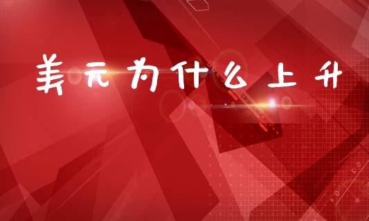 美元为什么上升_https://wap.fcdydaikuan.com_金融机构_第1张