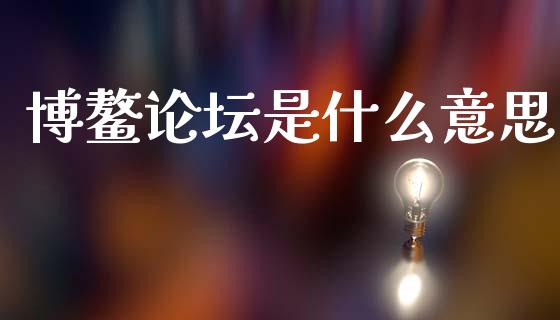 博鳌论坛是什么意思_https://wap.fcdydaikuan.com_金融机构_第1张