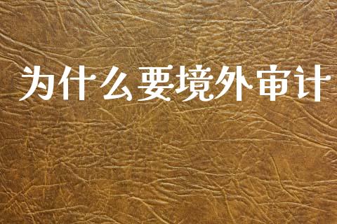 为什么要境外审计_https://wap.fcdydaikuan.com_金融机构_第1张
