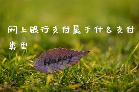 网上银行支付属于什么支付类型_https://wap.fcdydaikuan.com_投资策略_第1张