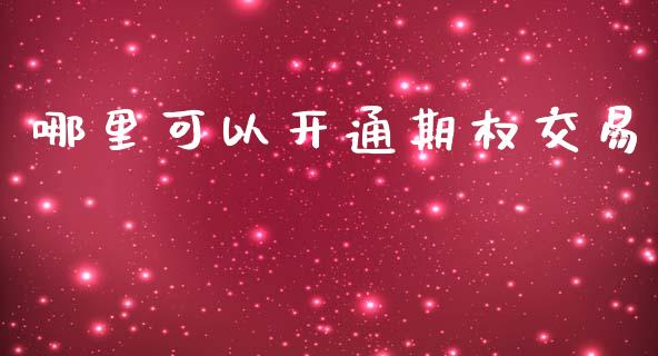 哪里可以开通期权交易_https://wap.fcdydaikuan.com_国际投资_第1张