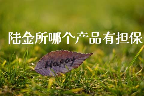 陆金所哪个产品有担保_https://wap.fcdydaikuan.com_国际投资_第1张