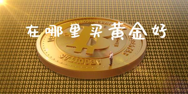 在哪里买黄金好_https://wap.fcdydaikuan.com_理财顾问_第1张