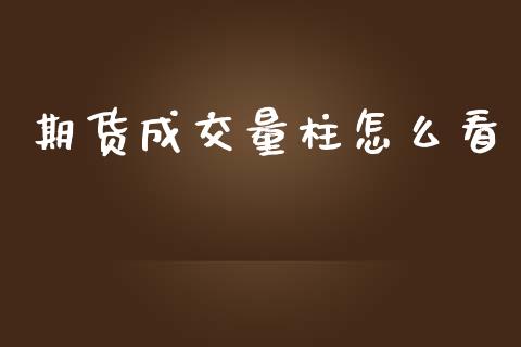 期货成交量柱怎么看_https://wap.fcdydaikuan.com_投资策略_第1张