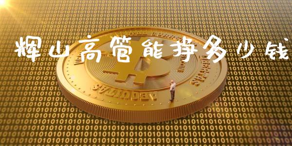 辉山高管能挣多少钱_https://wap.fcdydaikuan.com_理财顾问_第1张