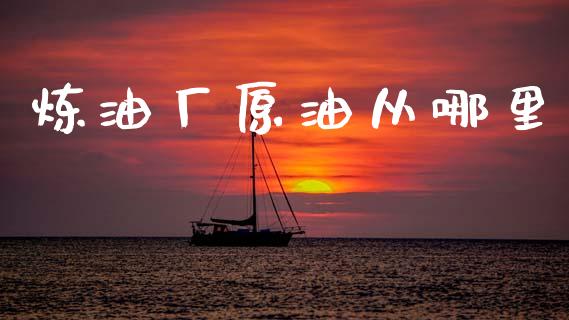 炼油厂原油从哪里_https://wap.fcdydaikuan.com_理财顾问_第1张