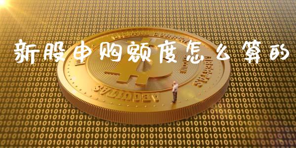 新股申购额度怎么算的_https://wap.fcdydaikuan.com_金融机构_第1张