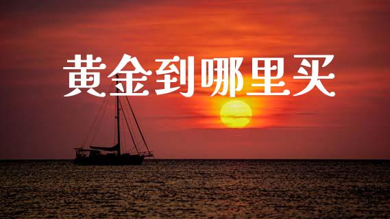 黄金到哪里买_https://wap.fcdydaikuan.com_新股数据_第1张