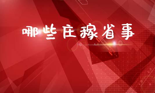 哪些庄稼省事_https://wap.fcdydaikuan.com_投资策略_第1张