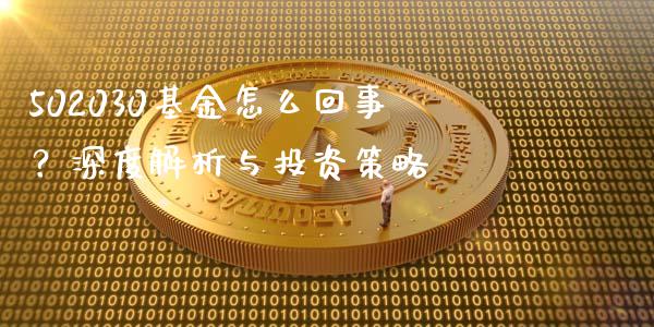 502030基金怎么回事？深度解析与投资策略_https://wap.fcdydaikuan.com_金融机构_第1张