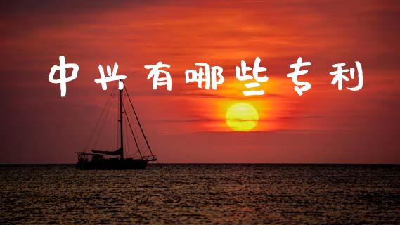 中兴有哪些专利_https://wap.fcdydaikuan.com_金融机构_第1张