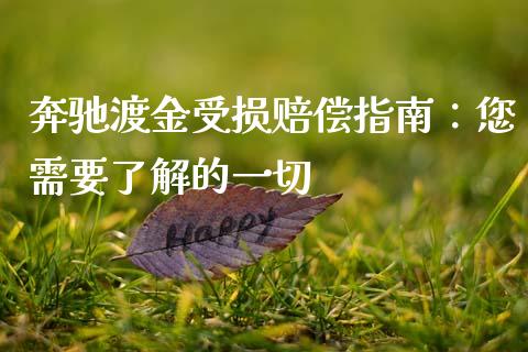 奔驰渡金受损赔偿指南：您需要了解的一切_https://wap.fcdydaikuan.com_投资策略_第1张