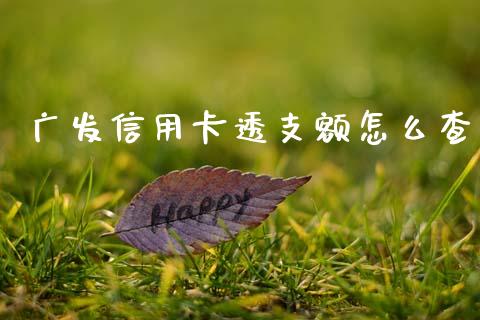 广发信用卡透支额怎么查_https://wap.fcdydaikuan.com_新股数据_第1张