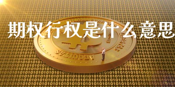 期权行权是什么意思_https://wap.fcdydaikuan.com_投资策略_第1张