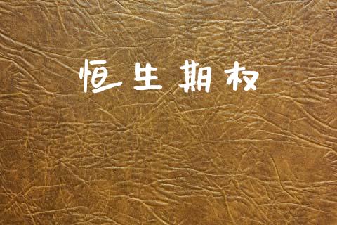 恒生期权_https://wap.fcdydaikuan.com_理财顾问_第1张