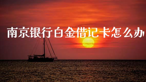 南京银行白金借记卡怎么办_https://wap.fcdydaikuan.com_期货品种_第1张