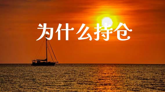 为什么持仓_https://wap.fcdydaikuan.com_期货品种_第1张