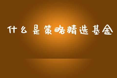 什么是策略精选基金_https://wap.fcdydaikuan.com_理财顾问_第1张
