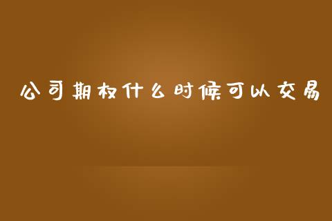 公司期权什么时候可以交易_https://wap.fcdydaikuan.com_金融机构_第1张