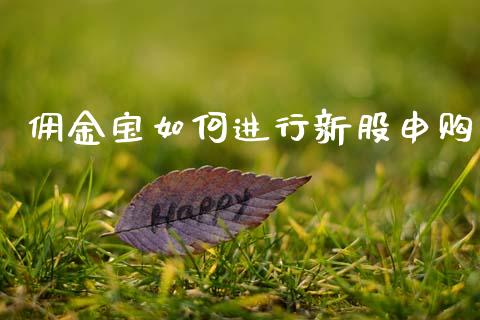 佣金宝如何进行新股申购_https://wap.fcdydaikuan.com_投资策略_第1张