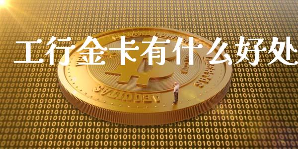 工行金卡有什么好处_https://wap.fcdydaikuan.com_投资策略_第1张