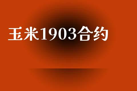 玉米1903合约_https://wap.fcdydaikuan.com_投资策略_第1张
