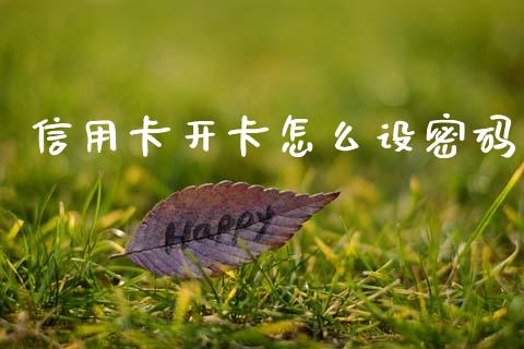 信用卡开卡怎么设密码_https://wap.fcdydaikuan.com_理财顾问_第1张
