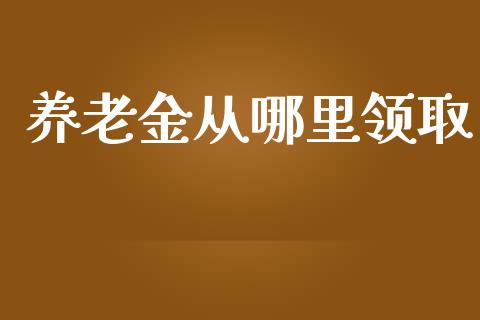 养老金从哪里领取_https://wap.fcdydaikuan.com_国际投资_第1张