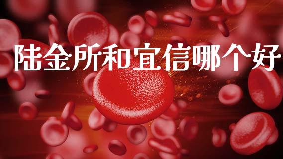 陆金所和宜信哪个好_https://wap.fcdydaikuan.com_新股数据_第1张