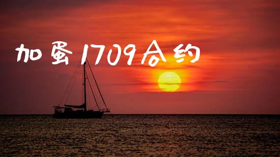 加蛋1709合约_https://wap.fcdydaikuan.com_理财顾问_第1张